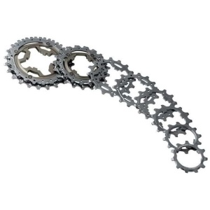 Campagnolo TANDWIEL 18C 10 SPEED Zilver